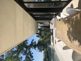 Léonore ROUX - Roux